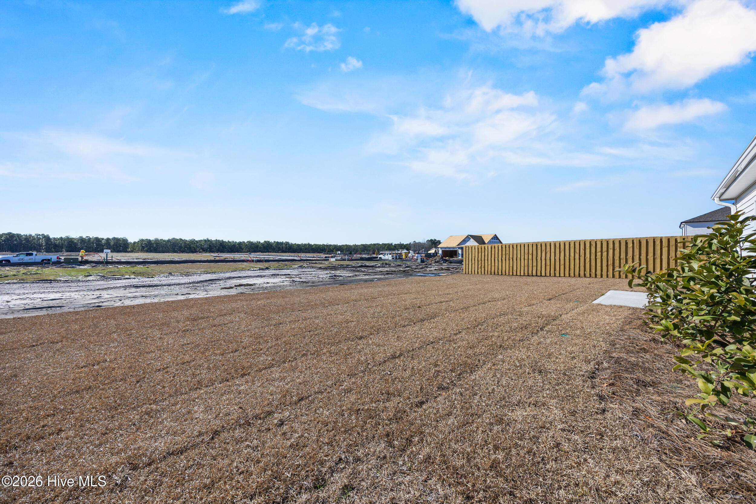 6358 Rye Grass Road Castle Hayne, NC 28429 - Photo 43 of 44 44_backyard