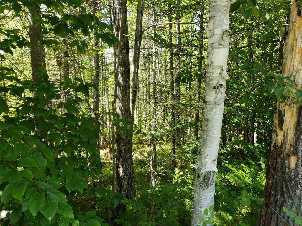 Mapr8-lot6 Town Farm Road Hartford, ME 04220 - Photo 4 of 7 Photo