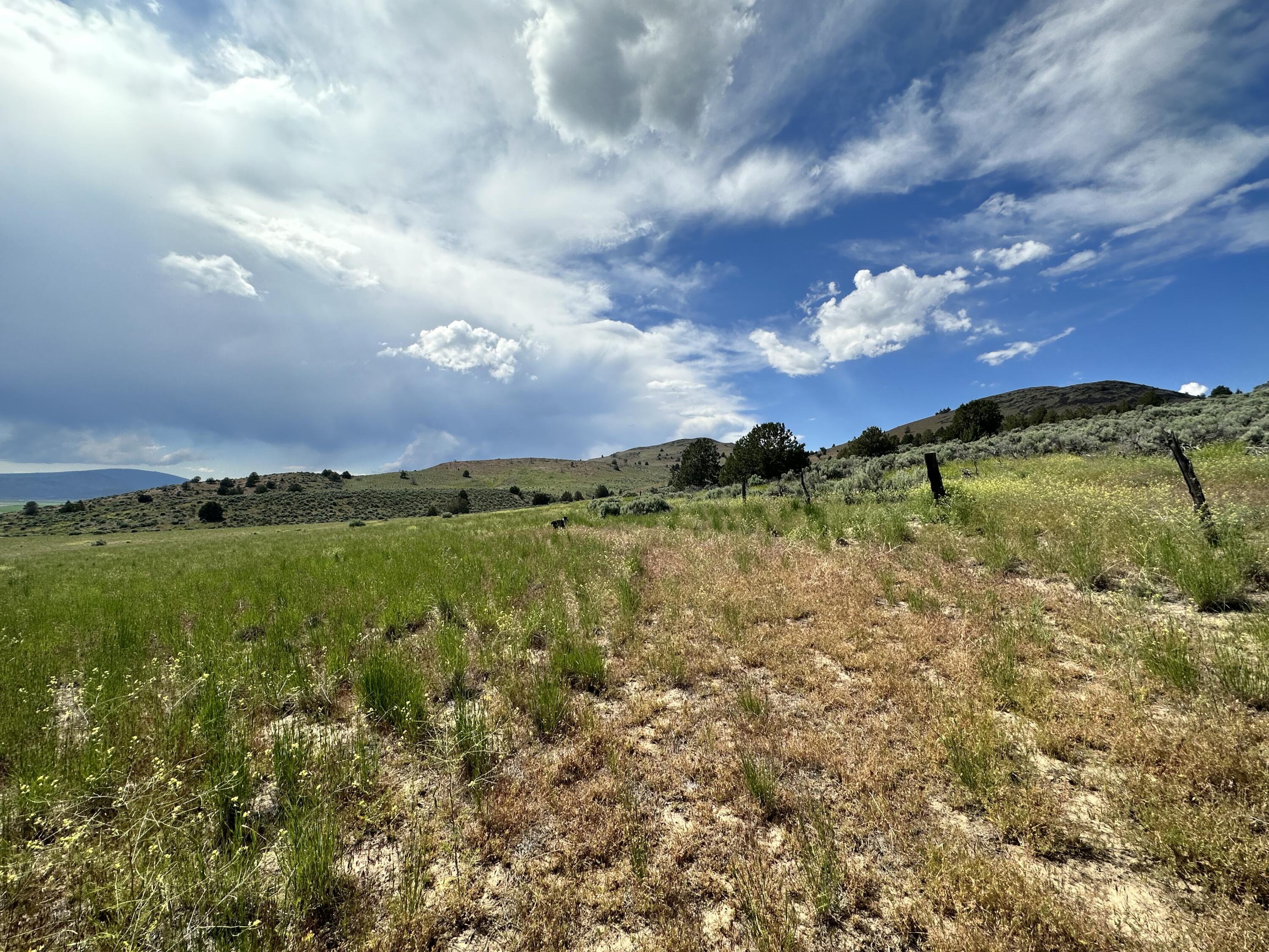 3223 Lower Lake Road Klamath Falls, OR 97603 - Photo 28 of 38 IMG_1235