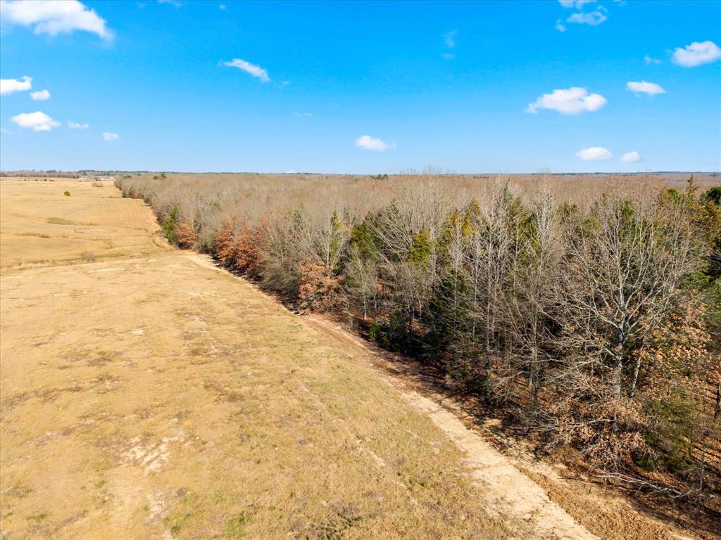 Tbd Tbd Us-271 Mount, Unit 12 Mount Pleasant, TX 75455 - Photo 14 of 20 a view of an ocean