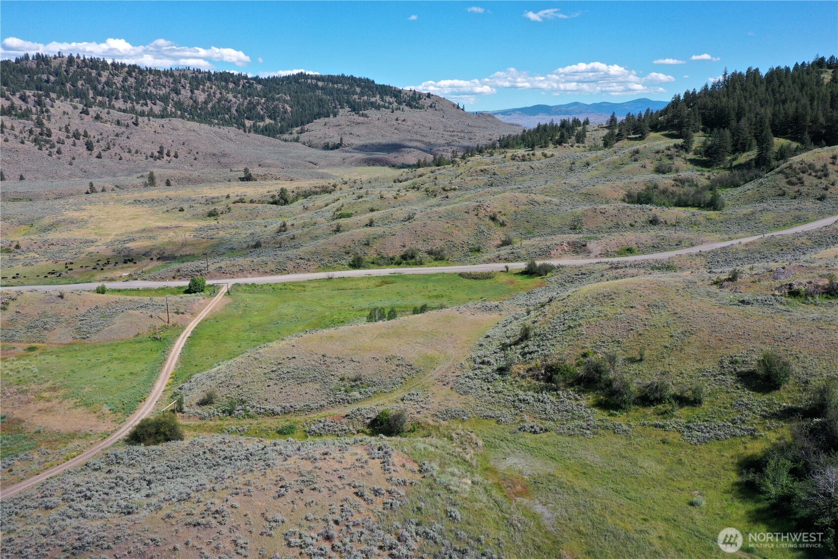 0 Wannacut Lake Road Oroville, WA 98844 - Photo 9 of 26 Gallery Image 9