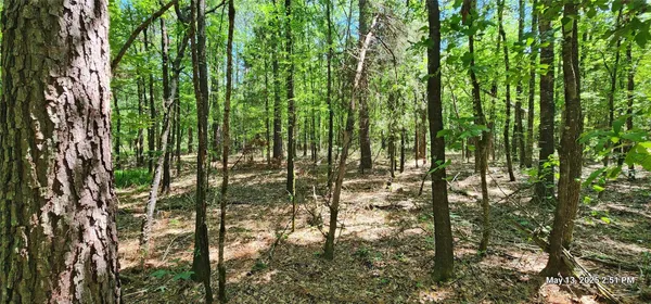 $100,965 | 3233 EAST And Cr, Clarksville, TX 75426