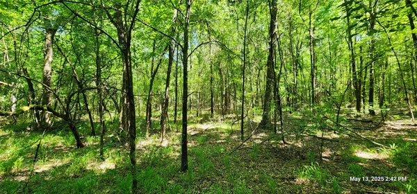 $100,965 | 3233 EAST And Cr, Clarksville, TX 75426