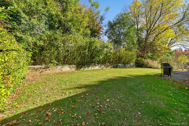 a view of yard with green space