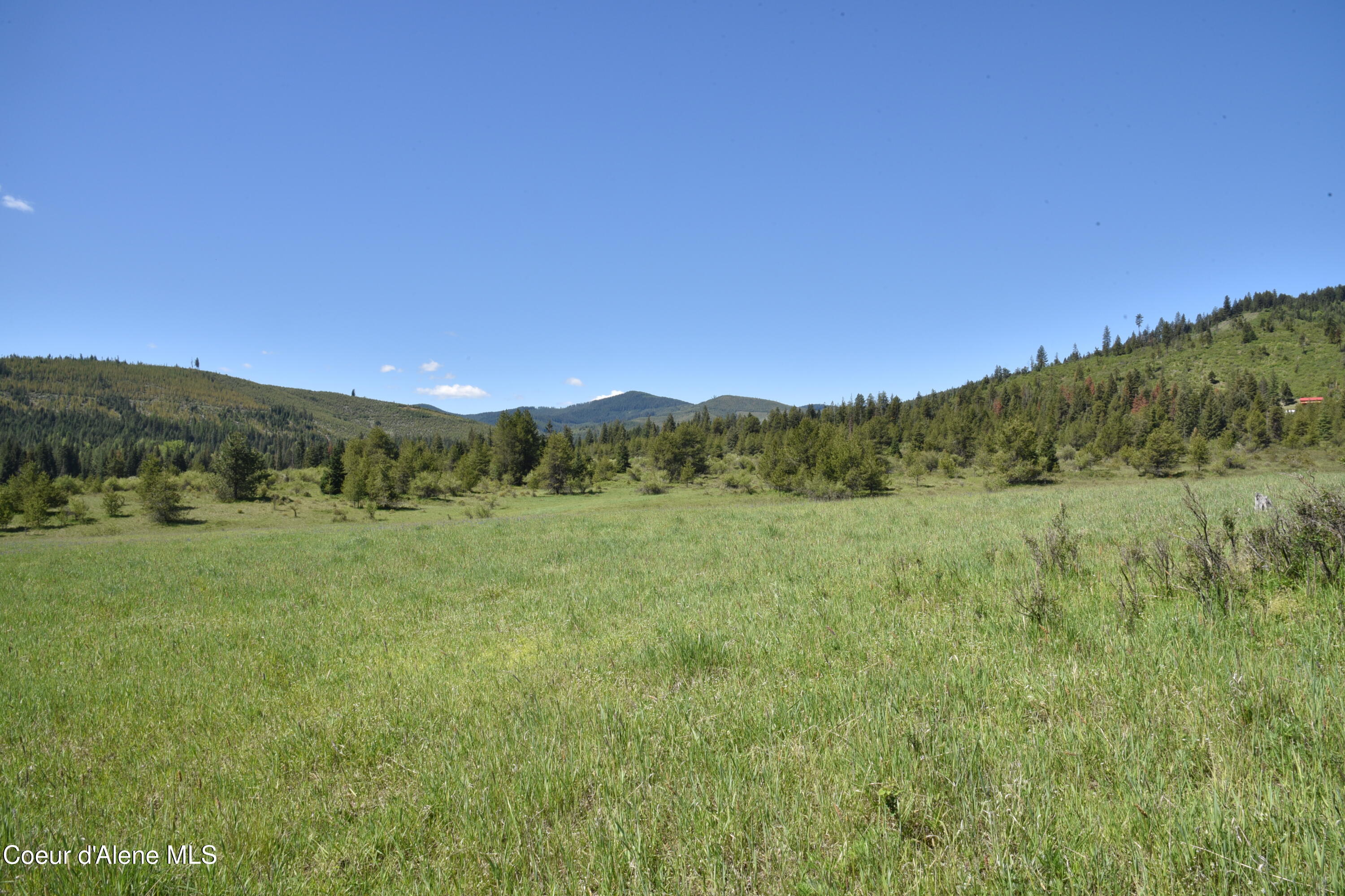 Nka Nka Tyson Creek Road St. Maries, ID 83861 - Photo 17 of 26 19