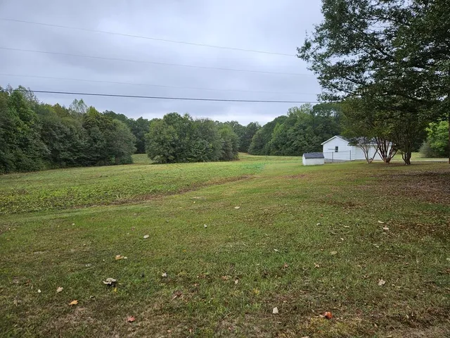 a view of a field with an trees