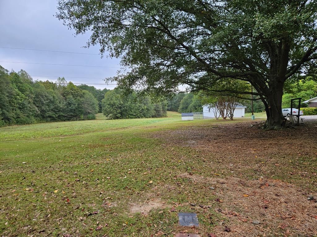 306 Grady Whitton Road Bremen, GA 30110 - Photo 14 of 48 a view of a field with an trees