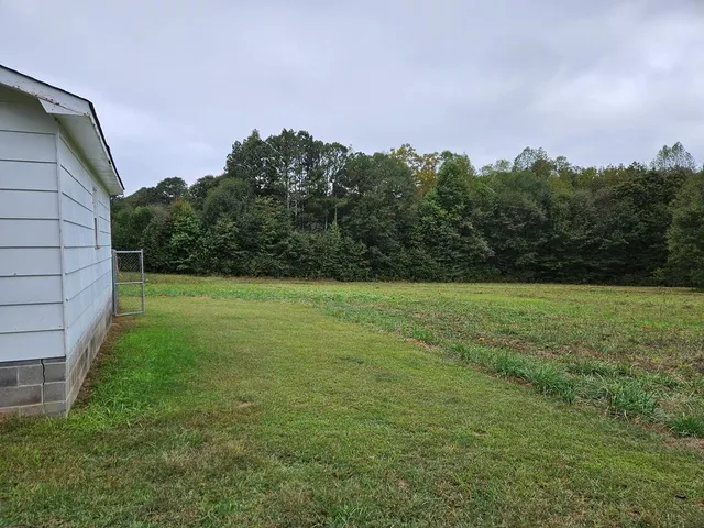 a backyard of a house with lots of green space