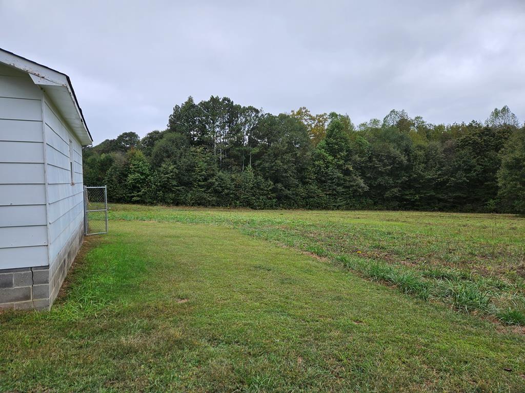 306 Grady Whitton Road Bremen, GA 30110 - Photo 21 of 48 a backyard of a house with lots of green space