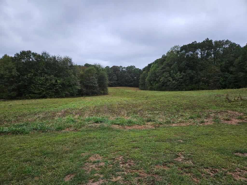 306 Grady Whitton Road Bremen, GA 30110 - Photo 24 of 48 a view of a field with an trees in the background