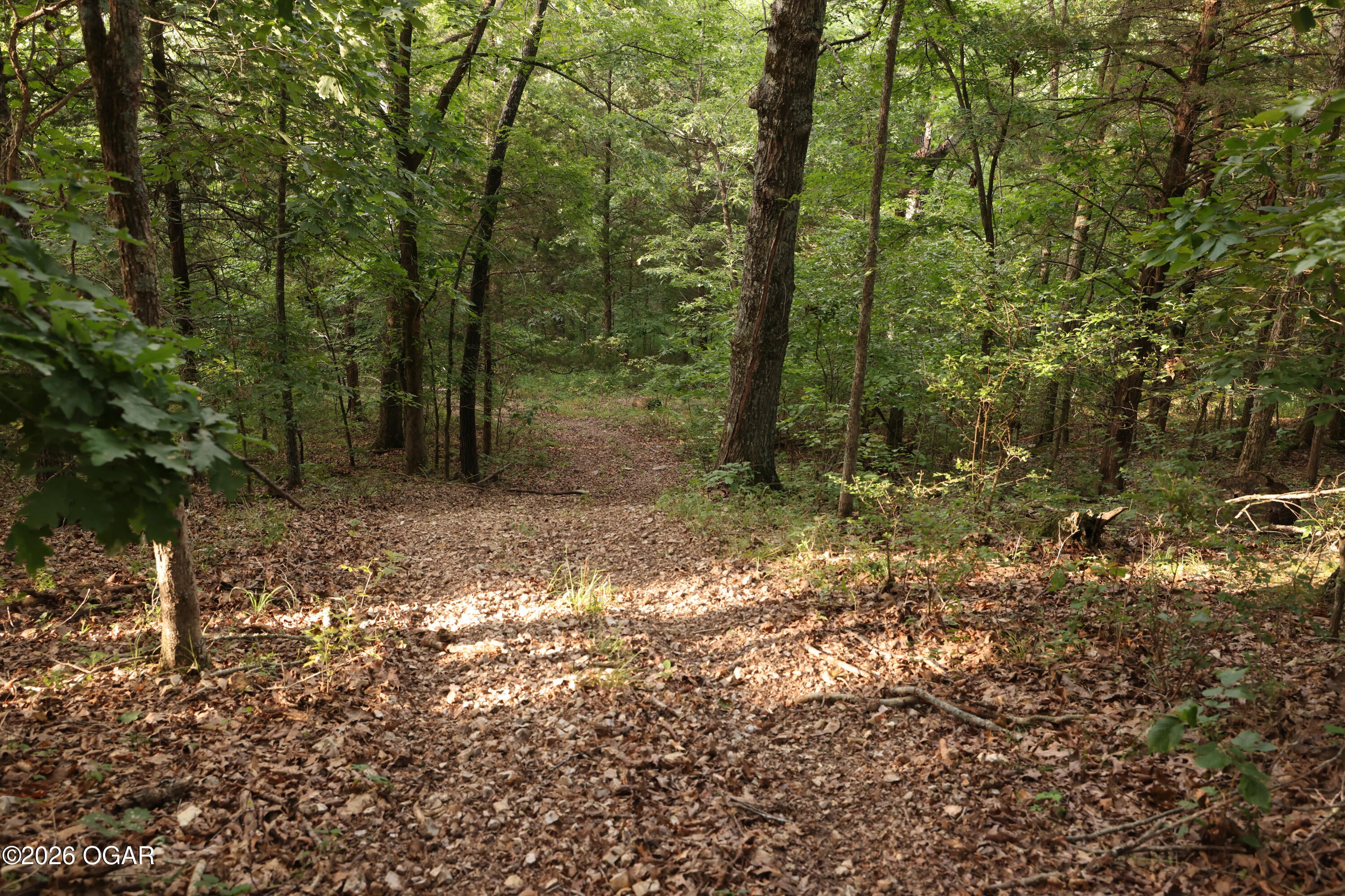 861 Tilden Road Galena, MO 65656 - Photo 25 of 67 Gallery Image 25