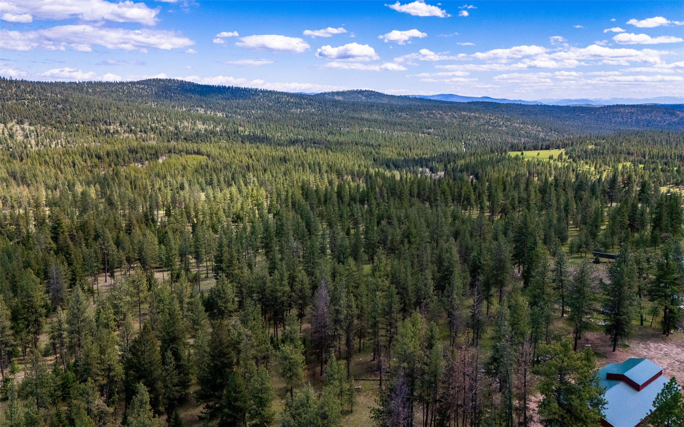 3185 Hubbart Dam Road Marion, MT 59925 - Photo 91 of 105 Gallery Image 91