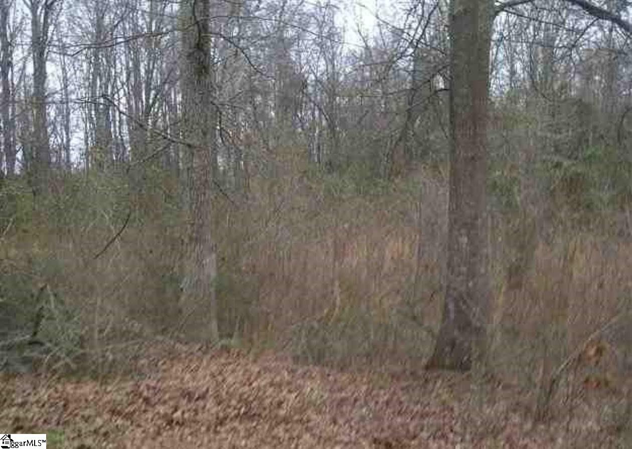 Hopkins Road Pelzer, SC 29669 - Photo 1 of 7