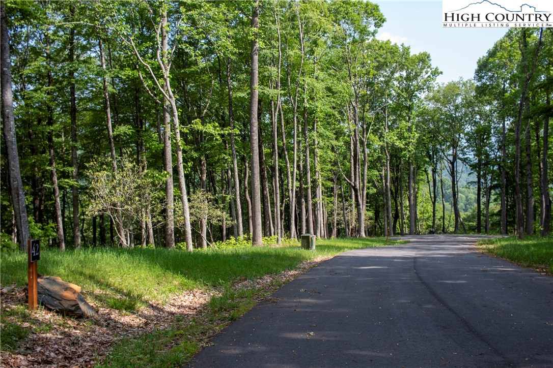 Lot 42 Poplar Forest Drive Boone, NC 28607 - Photo 12 of 20