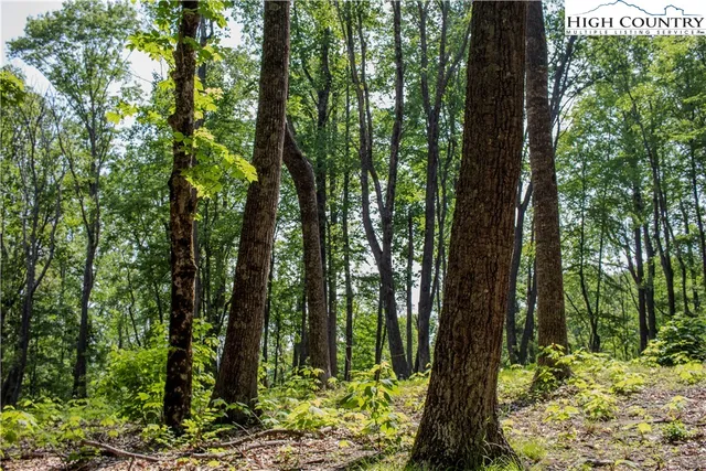$189,950 | Lot 42 Poplar Forest Drive, Boone, NC 28607