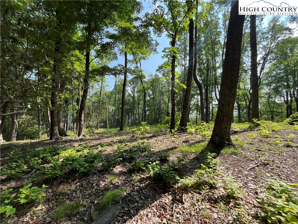 Lot 42 Poplar Forest Drive Boone, NC 28607 - Photo 7 of 20