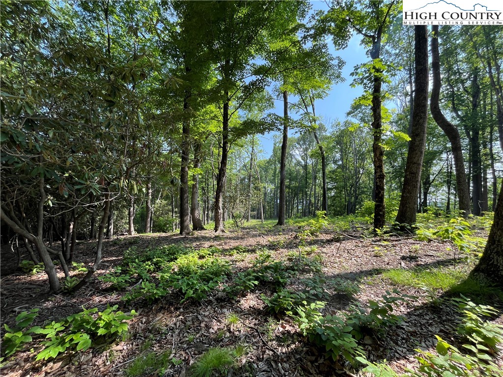 Lot 42 Poplar Forest Drive Boone, NC 28607 - Photo 8 of 20