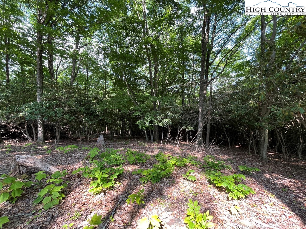 Lot 42 Poplar Forest Drive Boone, NC 28607 - Photo 10 of 20