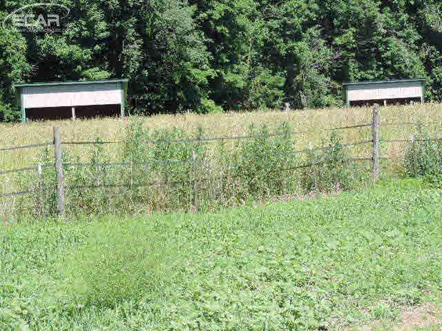 2720 Clifford Road Mayville, MI 48744 - Photo 14 of 33 21185514-13.JPG