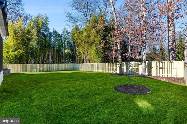 a view of a white house with a yard and large tree