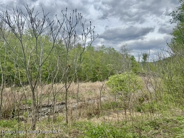 25 Wright Road Lanesville, NY 12450 - Photo 13 of 18 IMG_7835