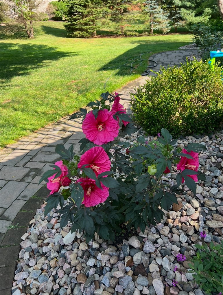 6 Valley View Circle Victor, NY 14564 - Photo 49 of 49