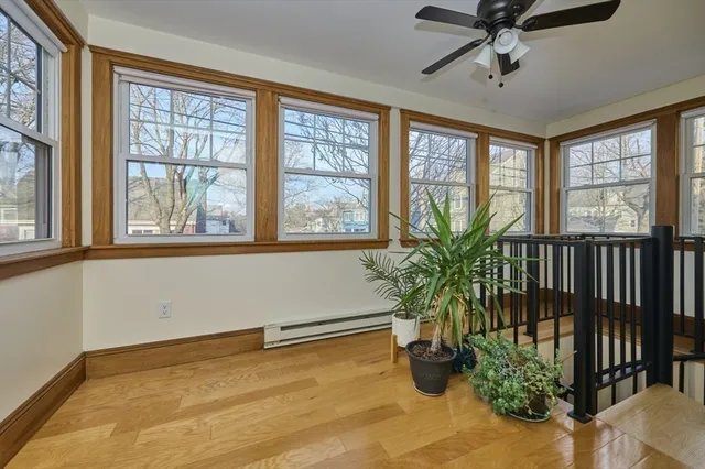 a potted plant sitting in front of a window