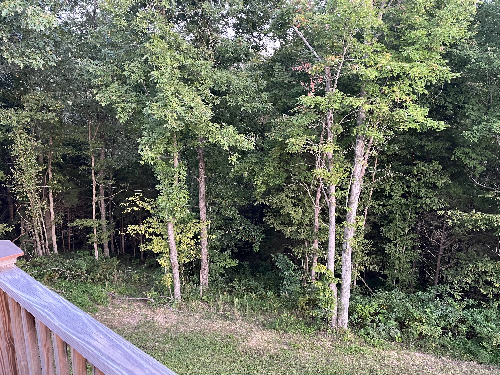 1720 Holland Road Lafayette, TN 37083 - Photo 6 of 22 Gallery Image 6