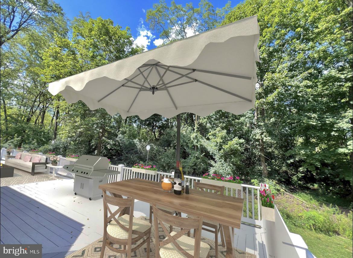 6025 Upper Mountain Road New Hope, PA 18938 - Photo 45 of 51 Staged Outdoor Furniture