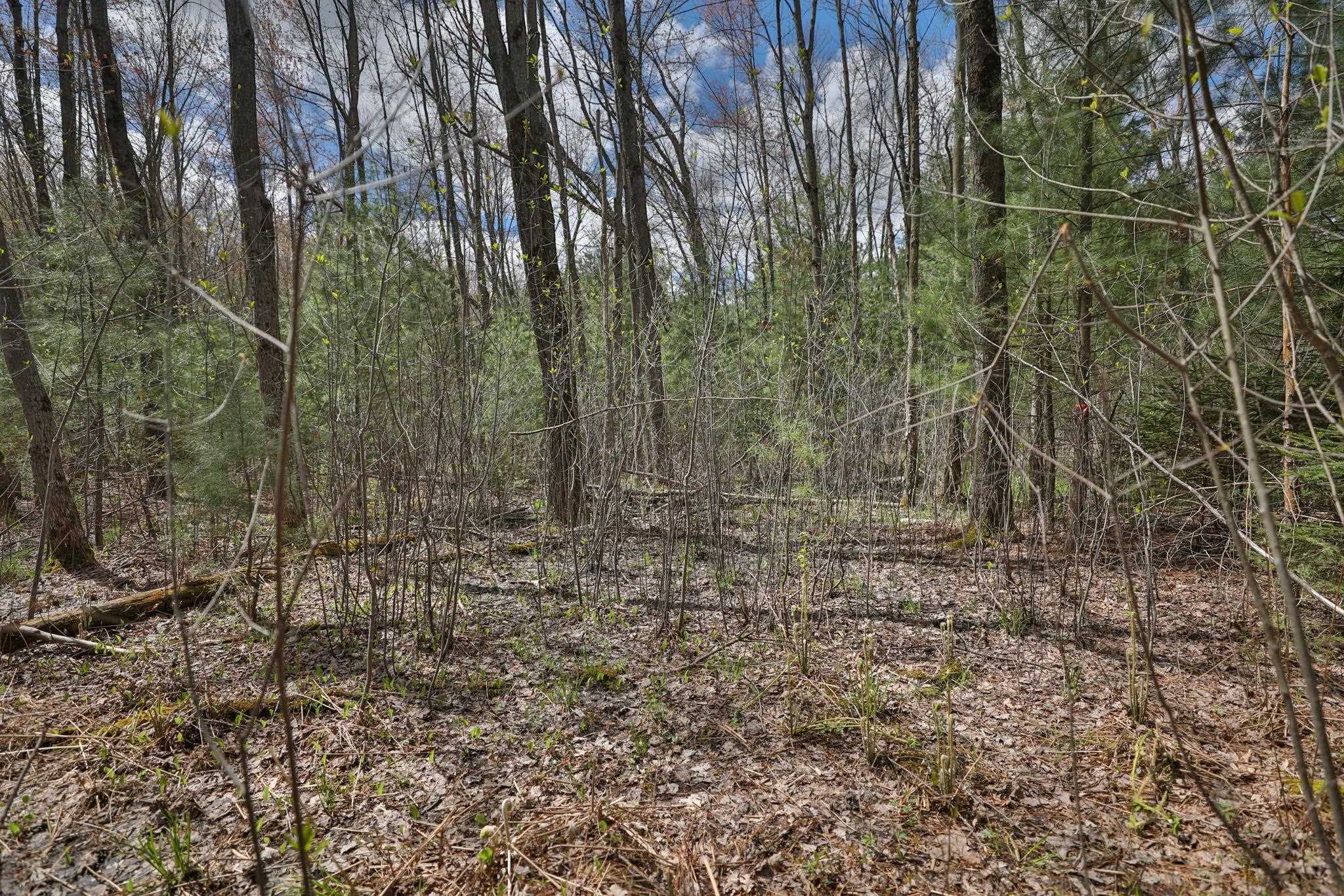Lot 4 Grayling Tomah, WI 54660 - Photo 33 of 50