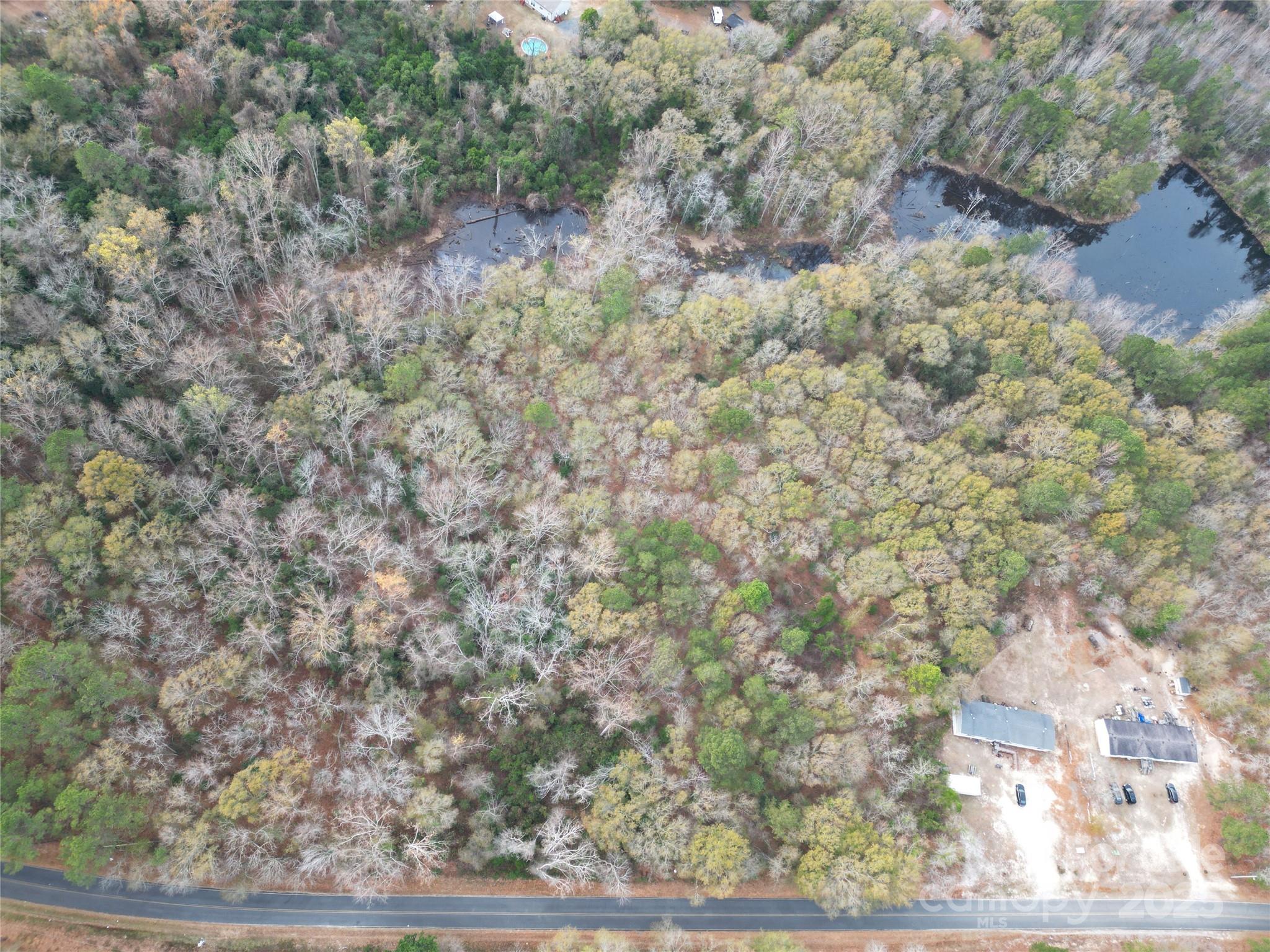Tbd Old Cheraw Road Hamlet, NC 28345 - Photo 3 of 5