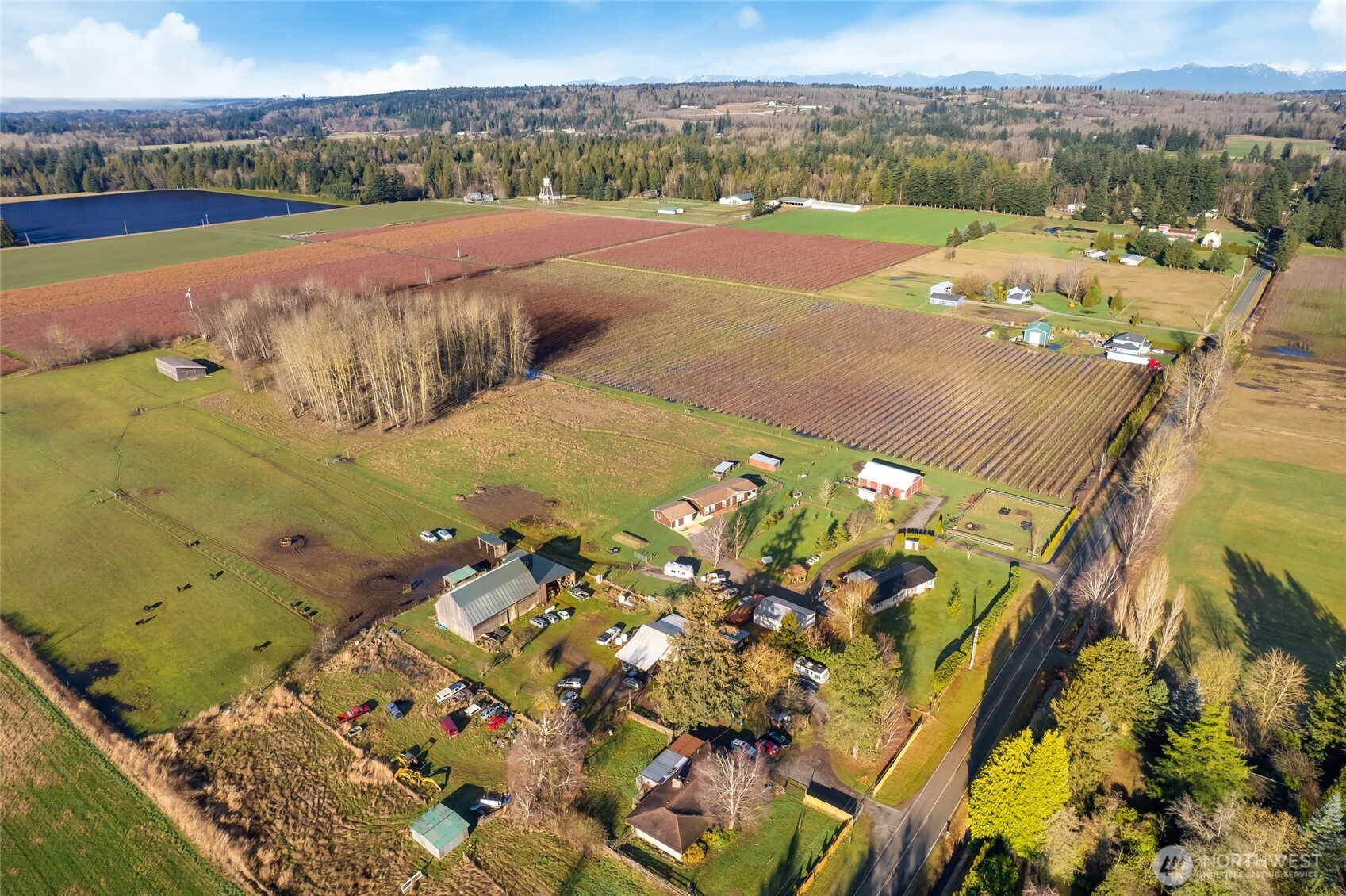 8741 Delta Line Road Custer, WA 98240 - Photo 6 of 30