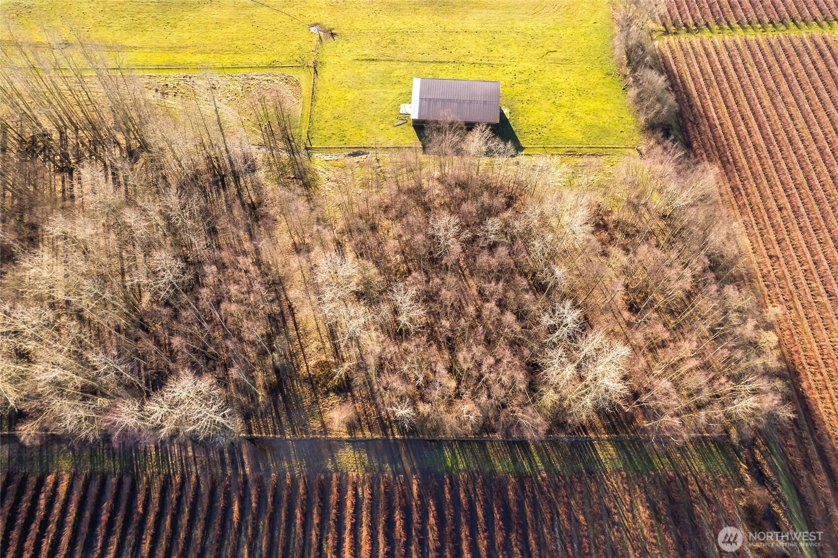 8741 Delta Line Road Custer, WA 98240 - Photo 7 of 30