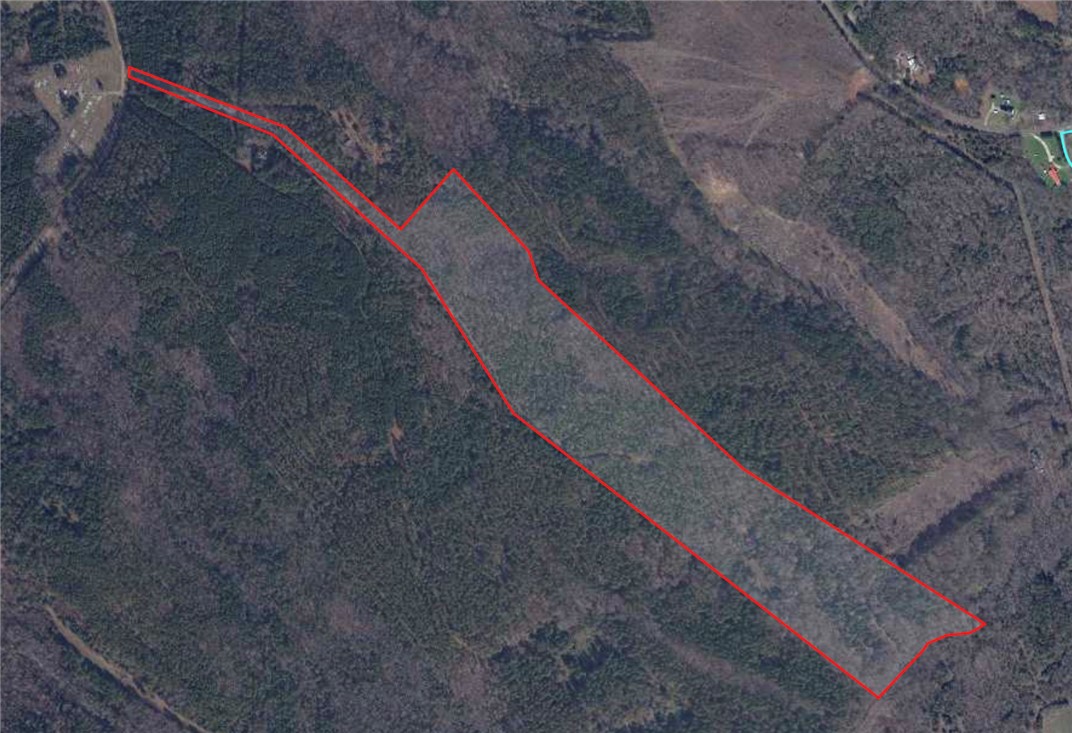 54 Highway 81 Calhoun Falls, SC 29628 - Photo 1 of 33