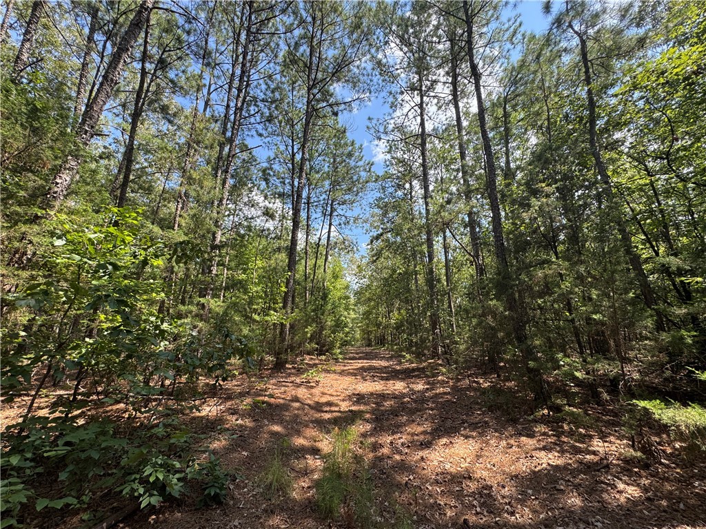 54 Highway 81 Calhoun Falls, SC 29628 - Photo 14 of 33