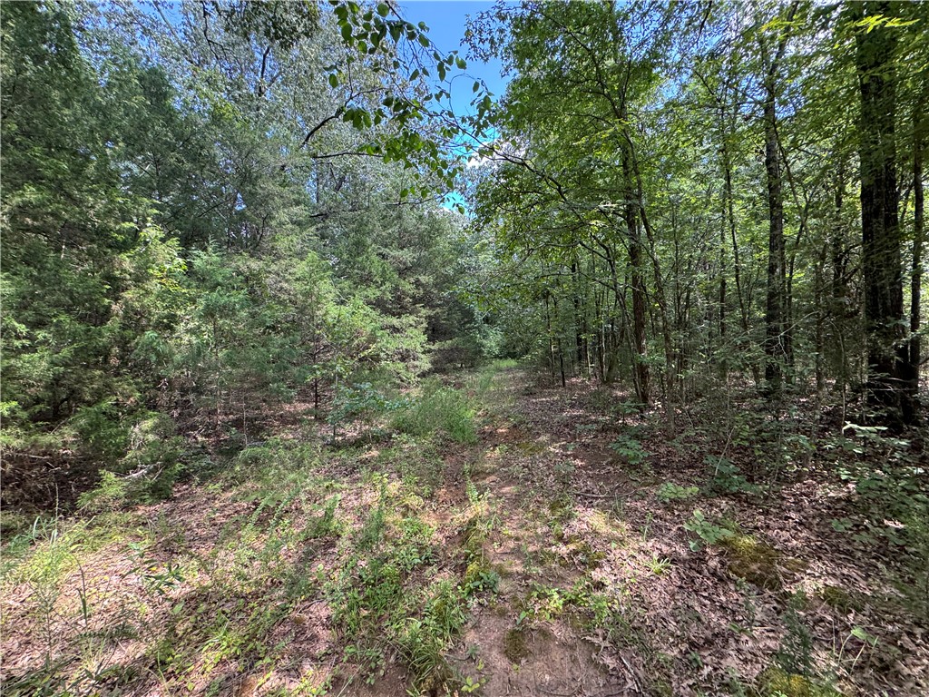 54 Highway 81 Calhoun Falls, SC 29628 - Photo 23 of 33