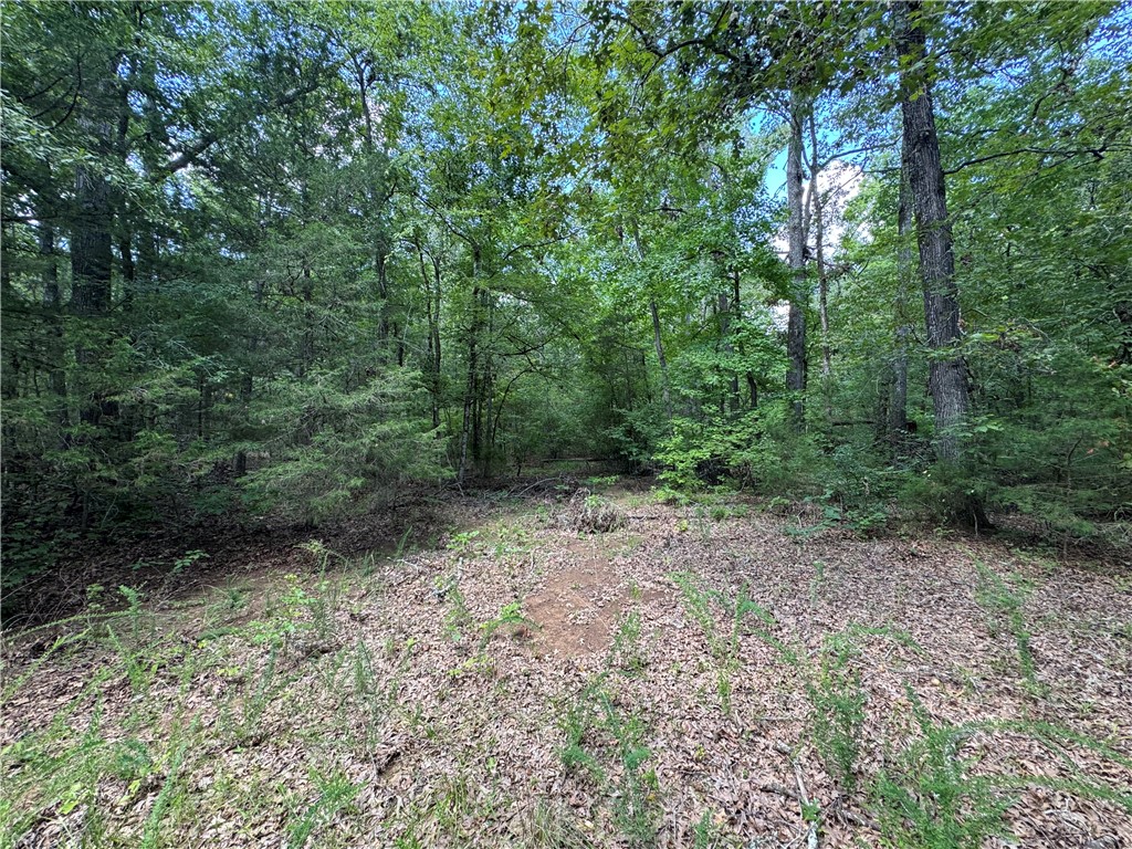 54 Highway 81 Calhoun Falls, SC 29628 - Photo 24 of 33