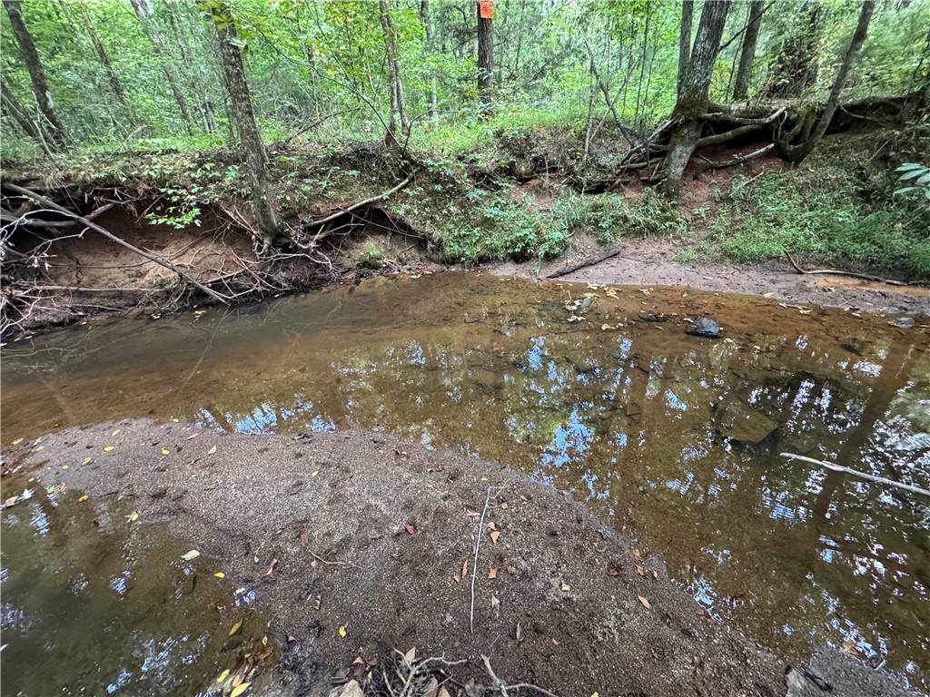 54 Highway 81 Calhoun Falls, SC 29628 - Photo 27 of 33