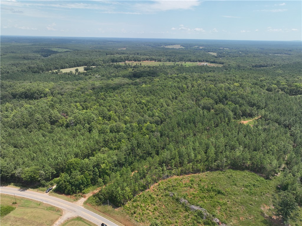 54 Highway 81 Calhoun Falls, SC 29628 - Photo 3 of 33