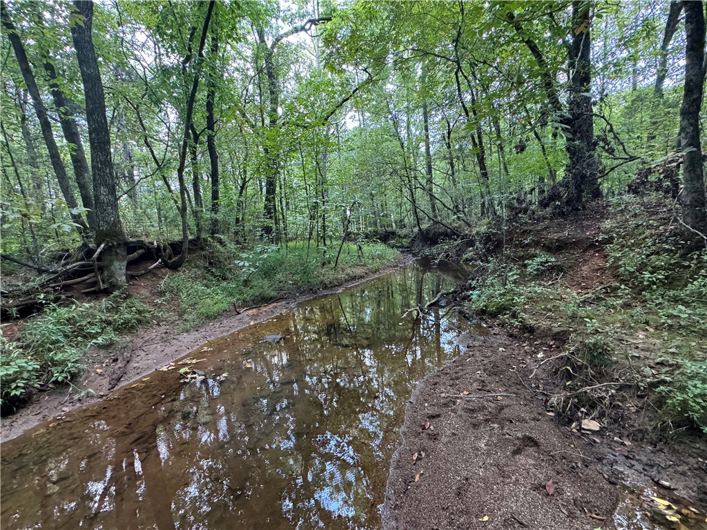 54 Highway 81 Calhoun Falls, SC 29628 - Photo 31 of 33