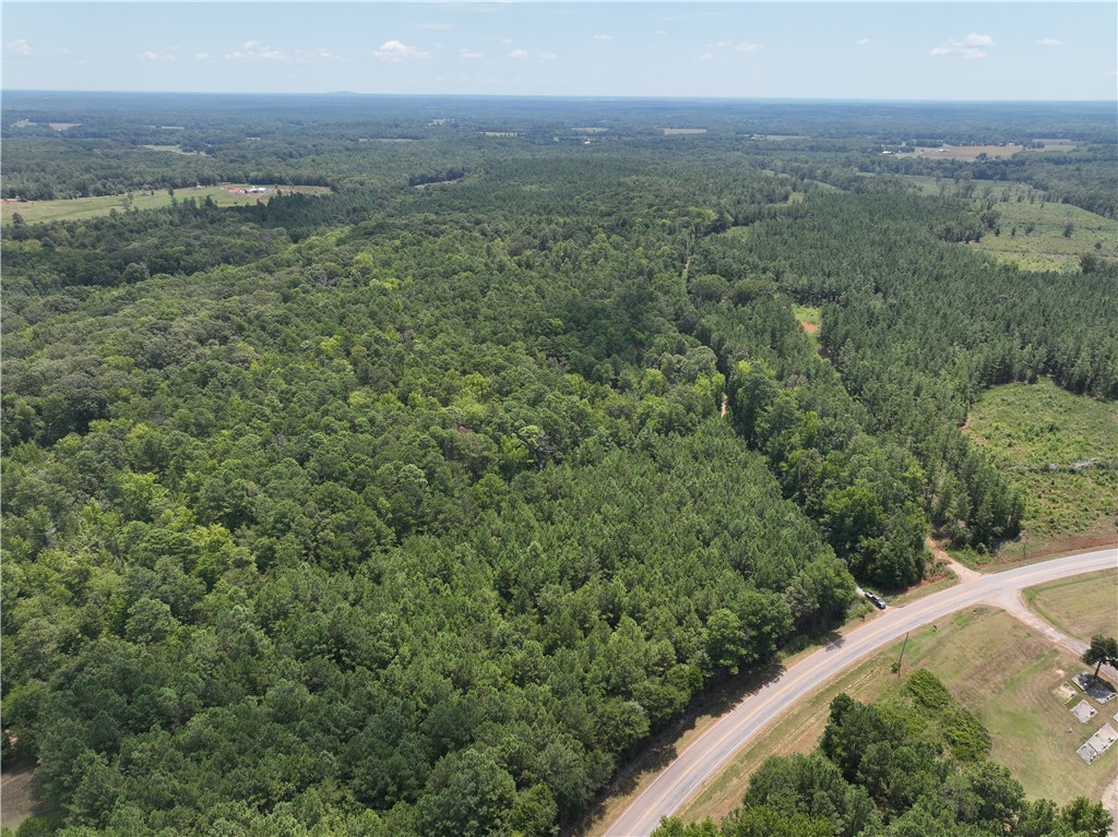 54 Highway 81 Calhoun Falls, SC 29628 - Photo 5 of 33