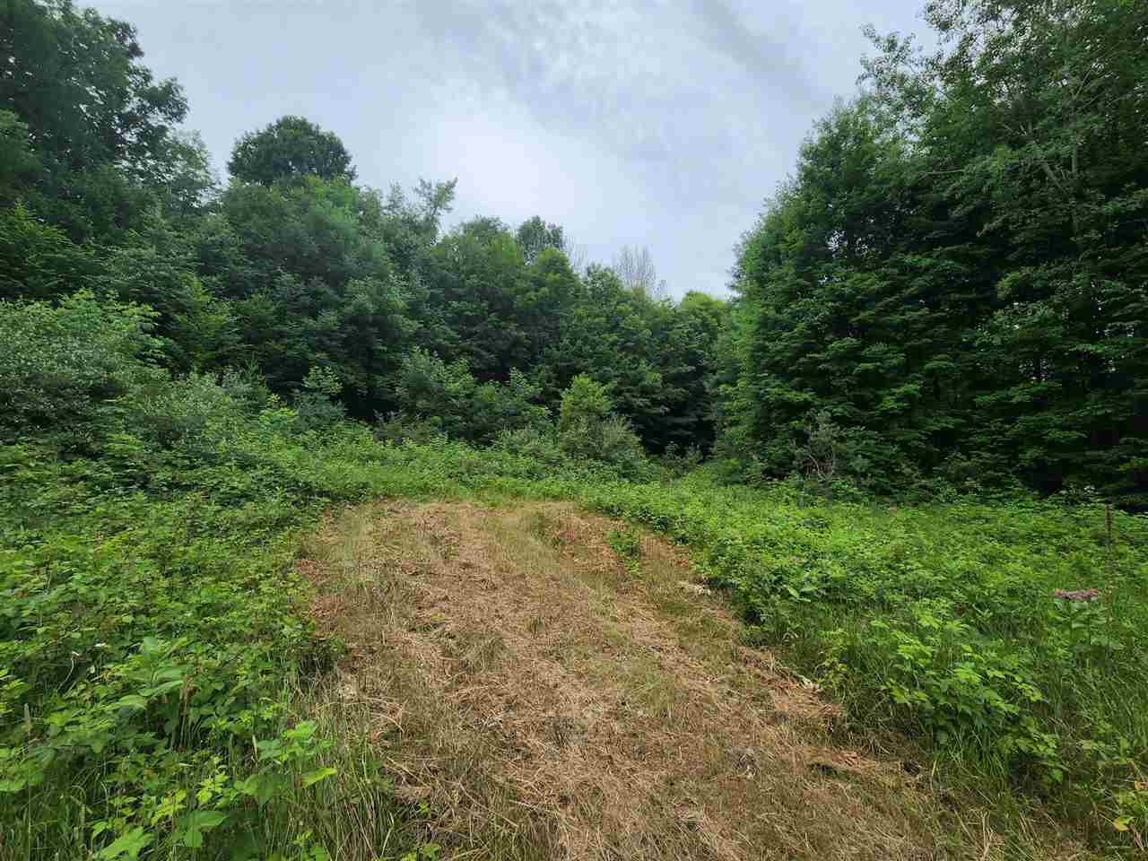 1 1 1 Mile Road White Cloud, MI 49349 - Photo 6 of 12