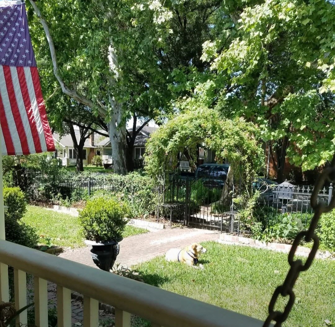 1646 Harvard Street Houston, TX 77008 - Photo 37 of 38