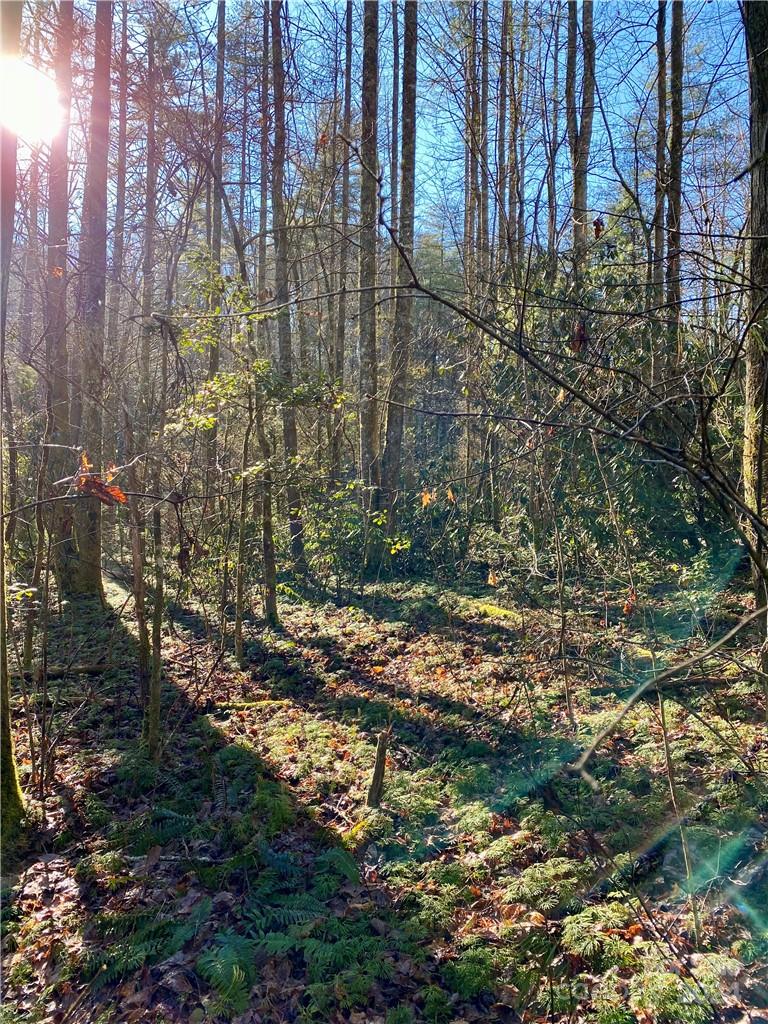 L41 Abby Falls Road, Unit L41 Brevard, NC 28712 - Photo 11 of 19