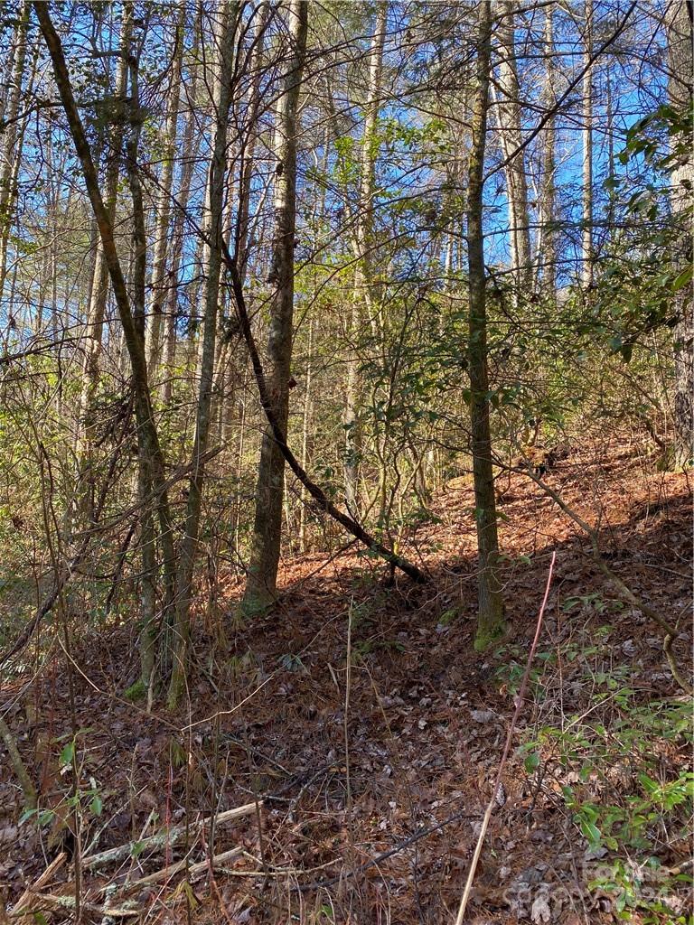 L41 Abby Falls Road, Unit L41 Brevard, NC 28712 - Photo 13 of 19