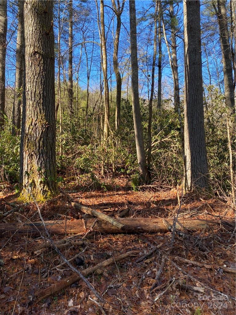 L41 Abby Falls Road, Unit L41 Brevard, NC 28712 - Photo 14 of 19