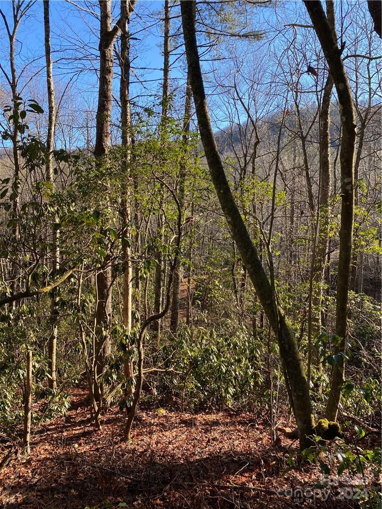 L41 Abby Falls Road, Unit L41 Brevard, NC 28712 - Photo 17 of 19