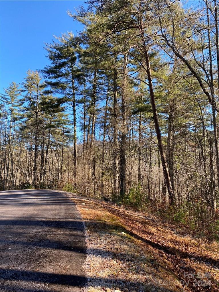 L41 Abby Falls Road, Unit L41 Brevard, NC 28712 - Photo 18 of 19