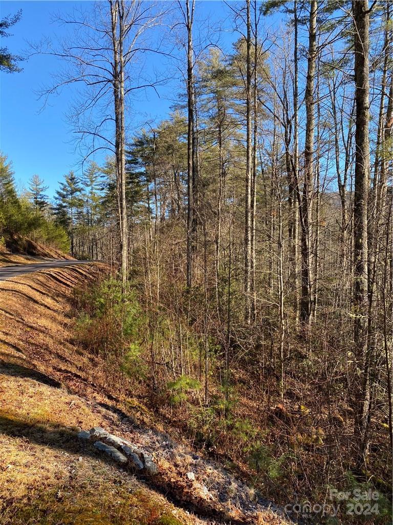 L41 Abby Falls Road, Unit L41 Brevard, NC 28712 - Photo 19 of 19