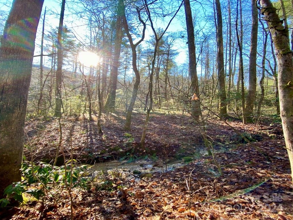 L41 Abby Falls Road, Unit L41 Brevard, NC 28712 - Photo 2 of 19
